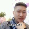 回忆在美那只是曾经的头像