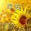 菩提的头像