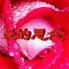 永恒（有些忙，回复不周望谅解）的头像