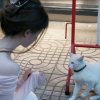 釉柒的头像