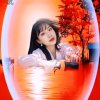 淡静玫瑰《忙，暂退》的头像