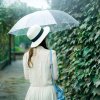心雨的头像