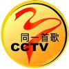同一首歌的头像