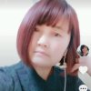 白狐的头像