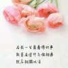 我的宝贝的头像