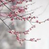 水关月的头像