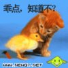 空昵称的头像