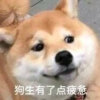 球哥吖.的头像