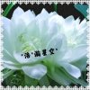 *浩*瀚星空*的头像