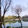 晴天的头像