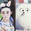 弘毅平淡就是幸福的头像