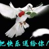 有缘人的头像
