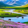 波哥的头像