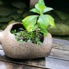 绿色心情的头像