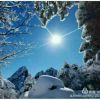雪中晴的头像
