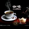 梧桐树的头像
