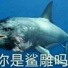 (ﾉ◕ヮ◕)ﾉ*:･ﾟ✧的头像