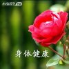 幸福一生的头像
