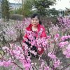 花中花的头像