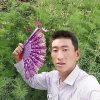 一切随缘的头像