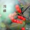 心思的头像