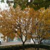 无悔的头像