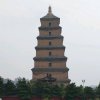 路路通的头像