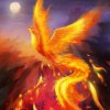 浴火重生的凤凰的头像