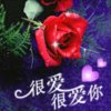 爱的世界只有你的头像