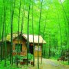 歌海小鱼(拒私信)的头像