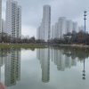 宇中的头像