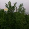 LH的头像