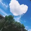 ……的头像