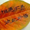 千山暮雪的头像