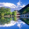 冷无寒的头像