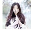 满天星的头像