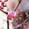 云淡风轻的头像
