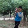 天天想你的头像