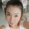 龙圣快乐的燕子的头像