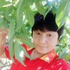 茹的头像