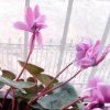 云飞的头像