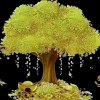 沉默是金的头像