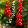 劲旅人生！的头像