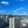 随风的头像