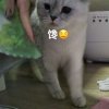 你有的头像
