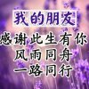 爱唱没理由开心就好拒聊非诚勿扰谢谢的头像