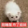 陆贞：）的头像