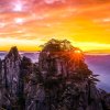 虞美人的头像