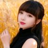 ꧁❀承诺❀꧂的头像
