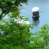 平安的头像